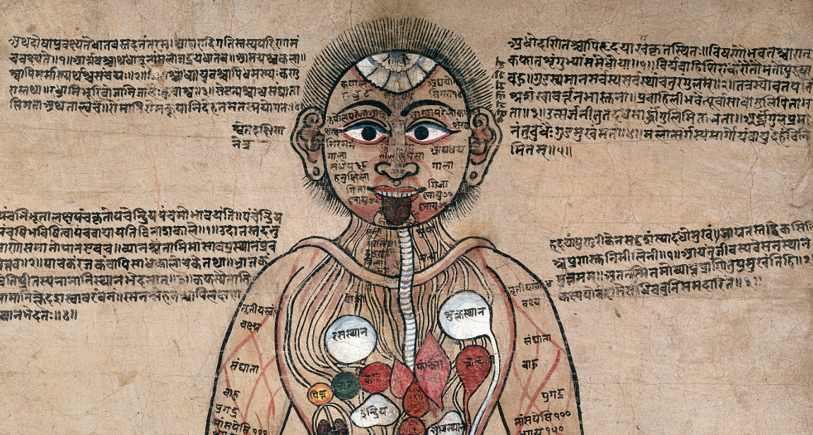 Yoga & Ayurveda : Histoires croisées du soin