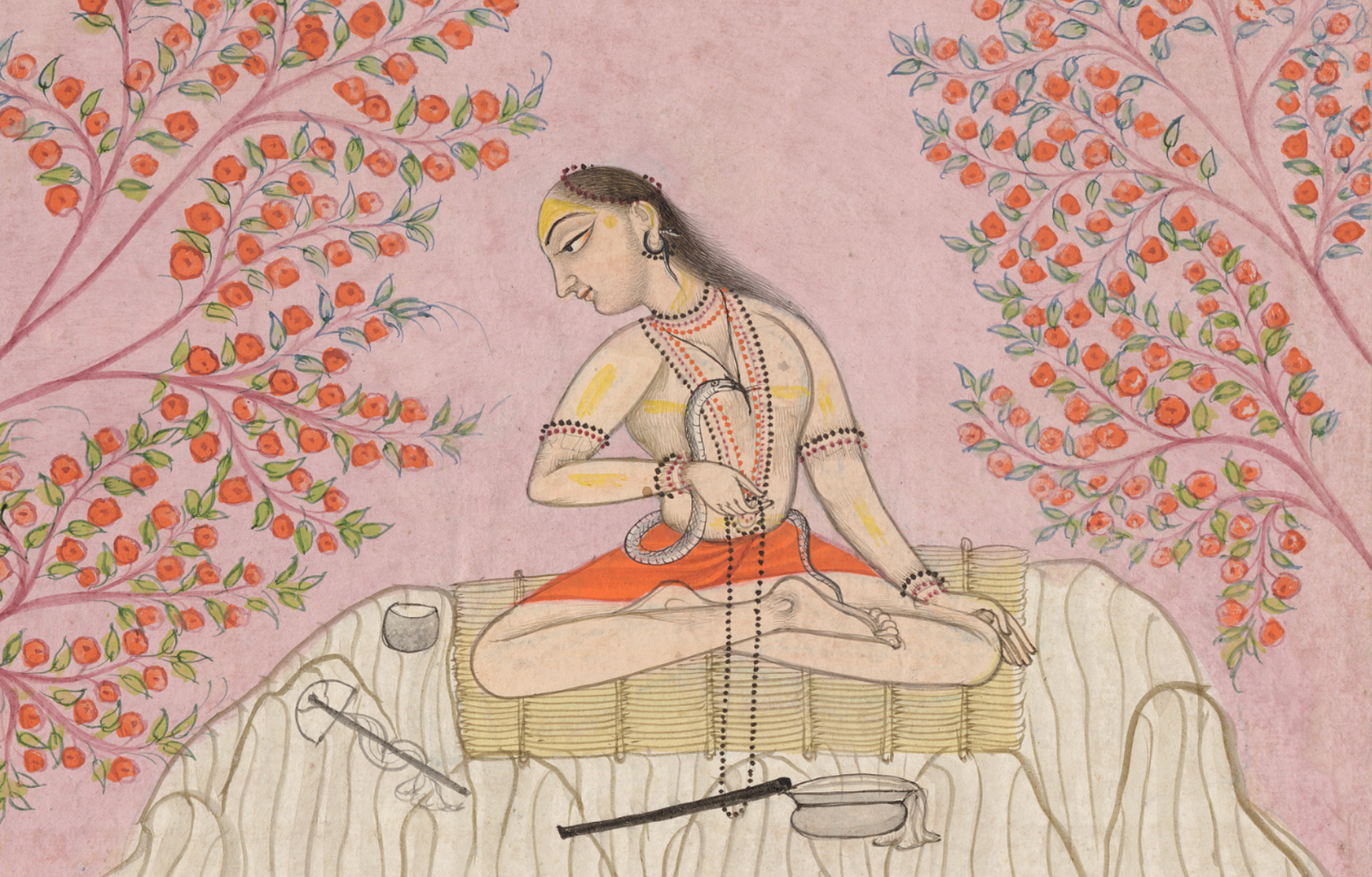 Āsana, les corps du yoga – Ananda Ceballos